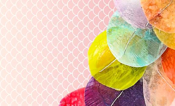 Workshop de Escamas de Peixe